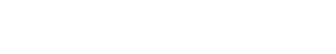Silver Solution Partner Logo_White Digital